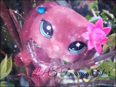 La chaîne "Diamond Star LPS" est-elle une vraie chaîne YouTube pour LPS ?