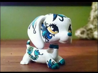 Ce LPS est-il customisé ?