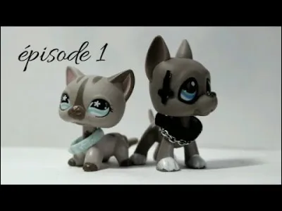 Quelle Youtubeuse a fait cette série de LPS ?