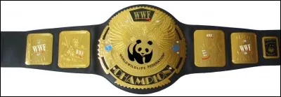 En quelle année Triple H a-t-il gagné son premier titre mondial ?