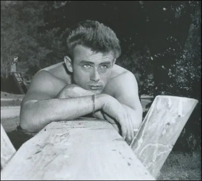 Ce « Géant » joua beaucoup au théâtre puis dans quelques films avant de rencontrer « La fureur de vivre » « A l'est d'Eden ». Ce passionné de courses automobiles meurt sur la route de Salinas en 1955. Il n'avait que 24 ans. C'est alors que la mort laissa place à la légende.