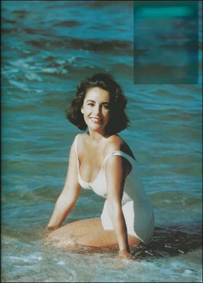 Elle fut Virginia Woolf, arpenta un toit brûlant telle une chatte, mais « Soudain l'été dernier », « Le miroir se brisa » lorsque « Cléopâtre » se fit pour l'éternité « Une place au soleil ».