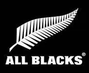 De quel pays provient cet emblme de rugby ?