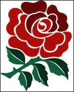 De quel pays provient cet emblme de rugby ?