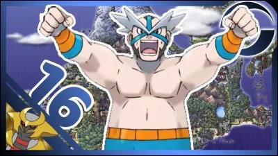 De quel type est spécialisé Lovis, le champion d'arène de Verchamps dans la région de Sinnoh ?