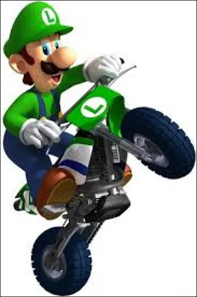 Luigi est un :