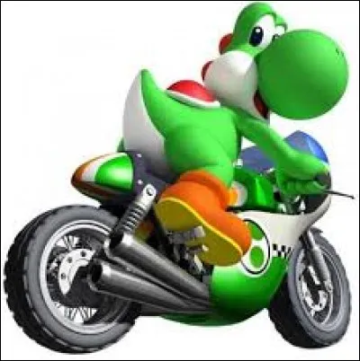 Yoshi est un :