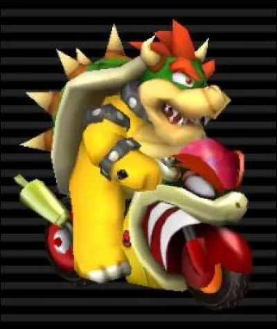 Bowser est un :