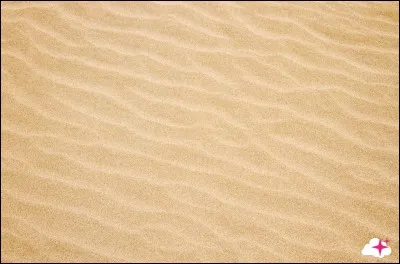 Son château est en glace