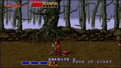 Les jeux Shinobi, Altered Beast ou Golden Axe sont sortis sur quelle borne d'Arcade ?