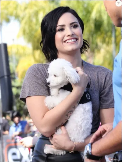 Comment se nomme son chien décédé ?