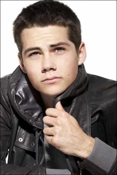 Qui est le meilleur ami de Stiles ?