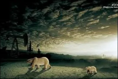 Quel animal est représenté sur le logo WWF ?