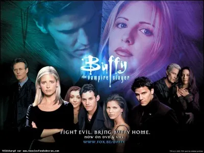 La série "Buffy contre les vampires" n'est jamais passée sur M6.