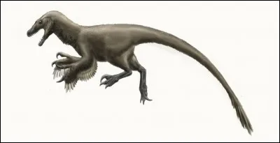 Quel est ce carnivore ?