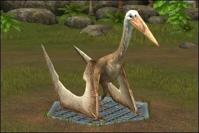 Qui est ce ptérosaure?