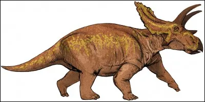 Quel est cet herbivore ?