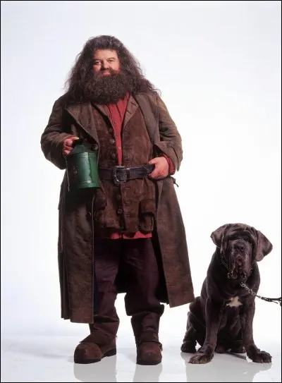 Comment s'appelle le chien de Hagrid ?