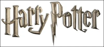 Qui est le sorcier dont on ne doit pas prononcer le nom ?