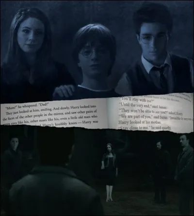 Comment s'appellent les parents biologiques de Harry ?