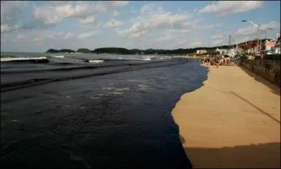 Parmi ces navires lequel n'a jamais provoqu� de mar�e noire ?