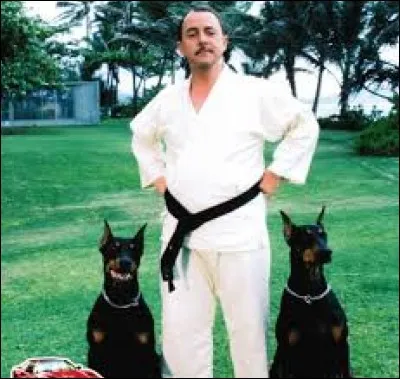 Quels sont les noms des deux superbes dobermanns de Higgins dans la série "TV Magnum" ?