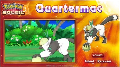 De quel sport est inspiré Quartermac ?