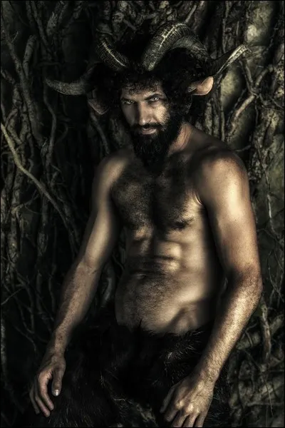 Le fameux Pan devint le favori des dieux. Lequel l'affectionnait en particulier ?