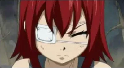 Qui a soigné l'il gauche d'Erza ?