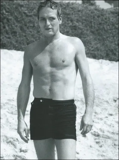 J'avoue, j'ai un petit faible pour cet homme qui, non seulement était un bon acteur mais également une belle personne, physiquement et moralement. Il fut « Luke la main froide » ou « Le gaucher », risqua sa vie dans « La tour infernale » pilla des banques dans « Butch Cassidy et le Kid » et tricha au poker dans « L'arnaque ».