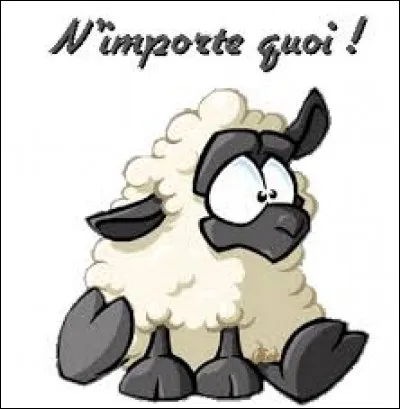 On ne dit pas "N'importe quoi", mais :