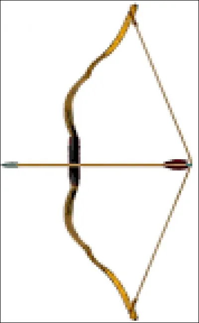 Quel est le nom traditionnel fran&ccedil;ais pour d&eacute;signer des arcs &agrave; double courbure ?