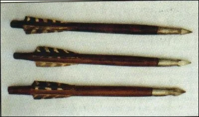 Comment s'appelle le projectile d'une arbal&egrave;te (je n'ai pas mis le carreau dans les propositions, il va donc falloir en trouver un autre) ?