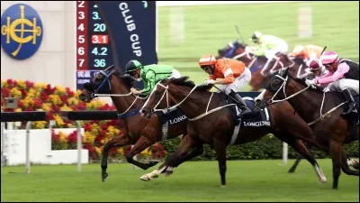 Comment s'appelle le cavalier qui monte un cheval lors d'une course ?