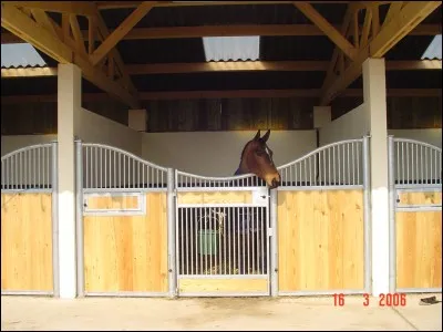 Que peut-on mettre pour la litière d'un cheval ?