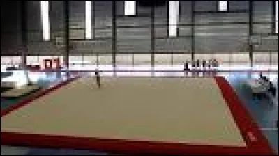 Quel est l'agrès de prédilection de Lauren Hernanadez ?