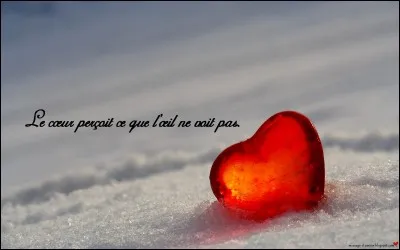 Tu crois ou penses qu'il t'aime.