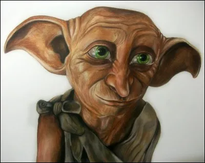 Dobby est un elfe de maison. Ok, mais où a-t-il travaillé ?