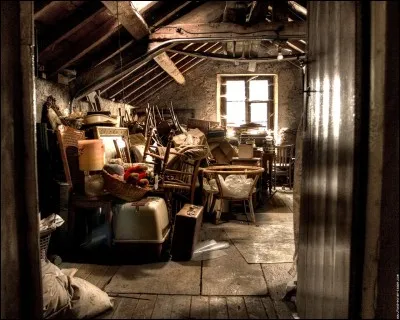 En déménageant, un homme découvre dans son grenier :