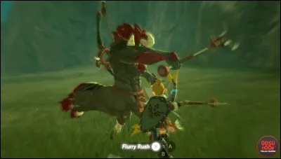 Combien y a-t-il de Lynels différents ?