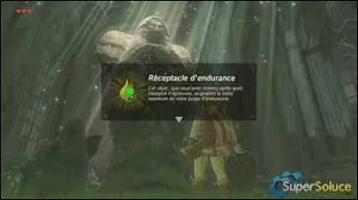 Combien peut-on avoir de jauges d'endurance ?