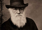 Quiz 16 anecdotes croustillantes sur Darwin (1)
