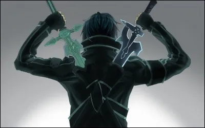 Comment s' appellent les épées de Kirito ?