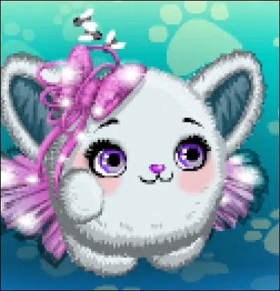 Peut-on aller dans le parc Petpet ?