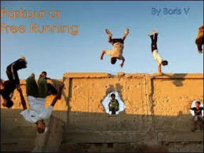 Avec qui Molière a-t-il fait la troupe du roi ?