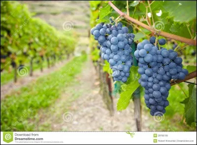 De quel dieu Sémélé est-elle la mère ?