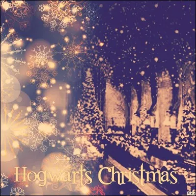 Le lendemain du 24 décembre, Drago invite (sans le savoir) Harry et Ron déguisés en Crabbe et Goyle. Il les fait donc entrer dans la salle commune des Serpentard et se met à critiquer les Weasley. Quelle information importante leur révèle-t-il sur la chambre ?