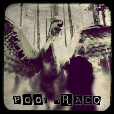 Pas de chance pour ce bon vieux Drago. La troisième année scolaire commence déjà mal pour lui. Le lendemain de son arrivée, il fit "connaissance" avec un hippogriffe nommé Buck. Quelle insulte lance-t-il à la créature ce qui provoque la colère de l'animal ?