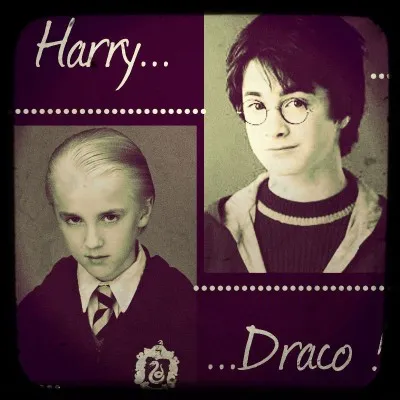 13 novembre. Drago et d'autres élèves portent les badges "Vive Cedric Diggory, le vrai champion de Poudlard / À bas Potter". Ce même jour, Drago et Harry se lancent un sort. Quels élèves ont-ils atteint ?