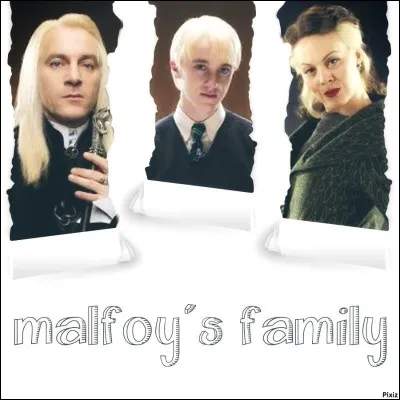 Le 31 juillet 1991, Drago se rend en compagnie de ses chers parents, Lucius et Narcissa, sur le Chemin de Traverse pour acheter ses fournitures scolaires. Dans quelle boutique fait-il la connaissance du célèbre Harry Potter ?